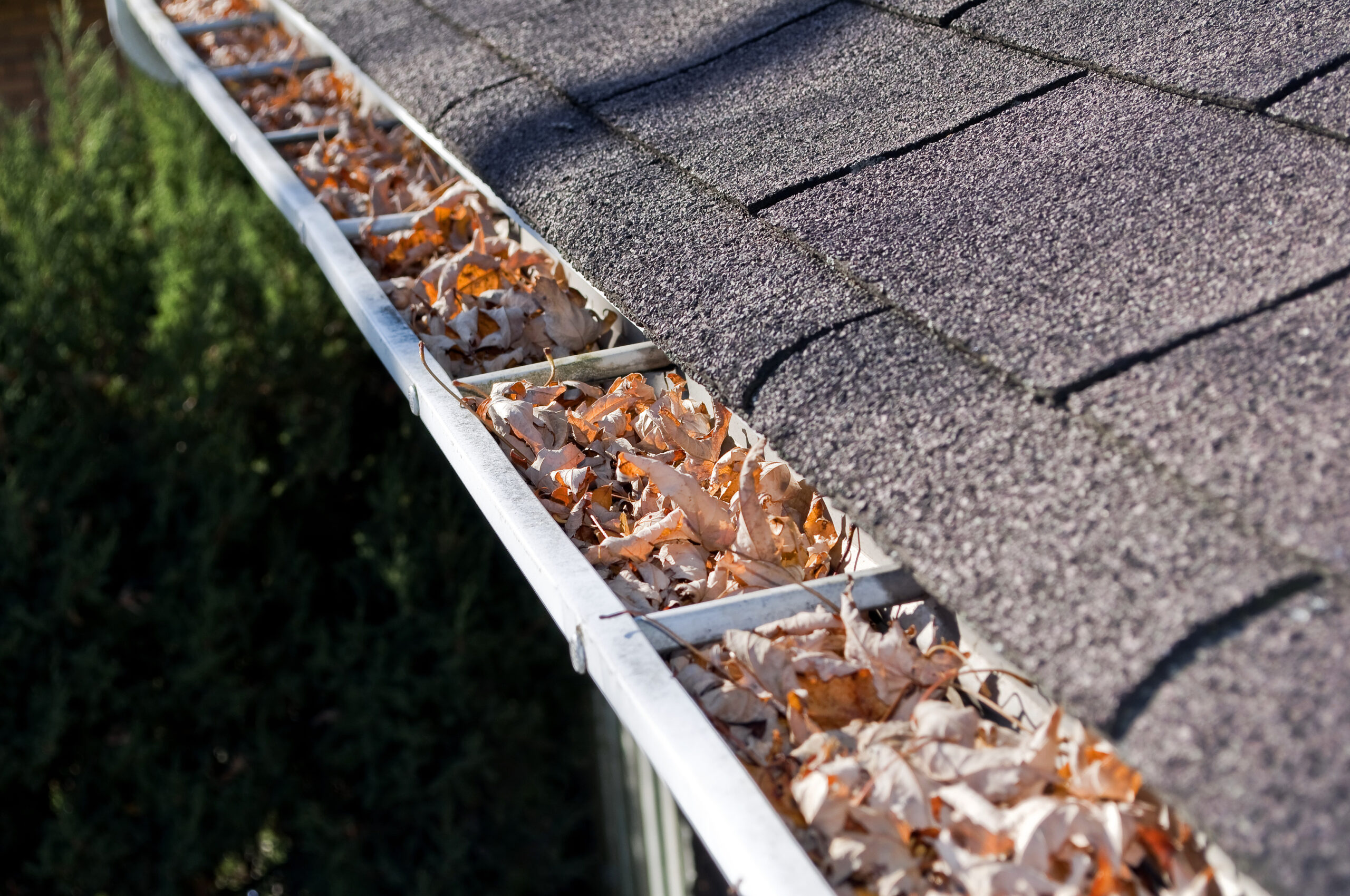 Featured image for “Spring Gutter Planning”